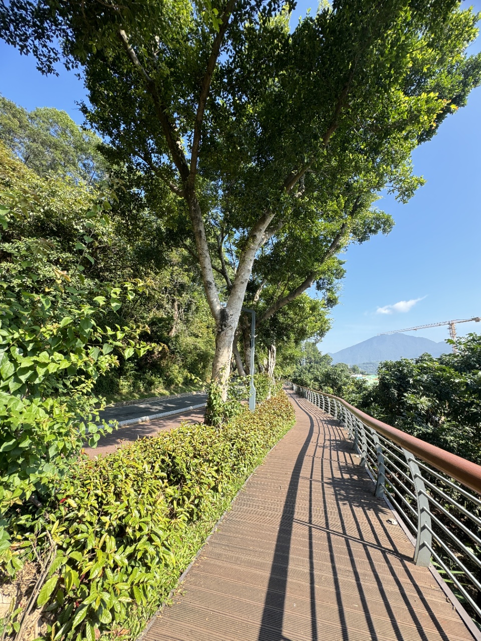 1745207772153532.jpg 4c42fbd0e53b1e53adfab875a4aec32e.jpg