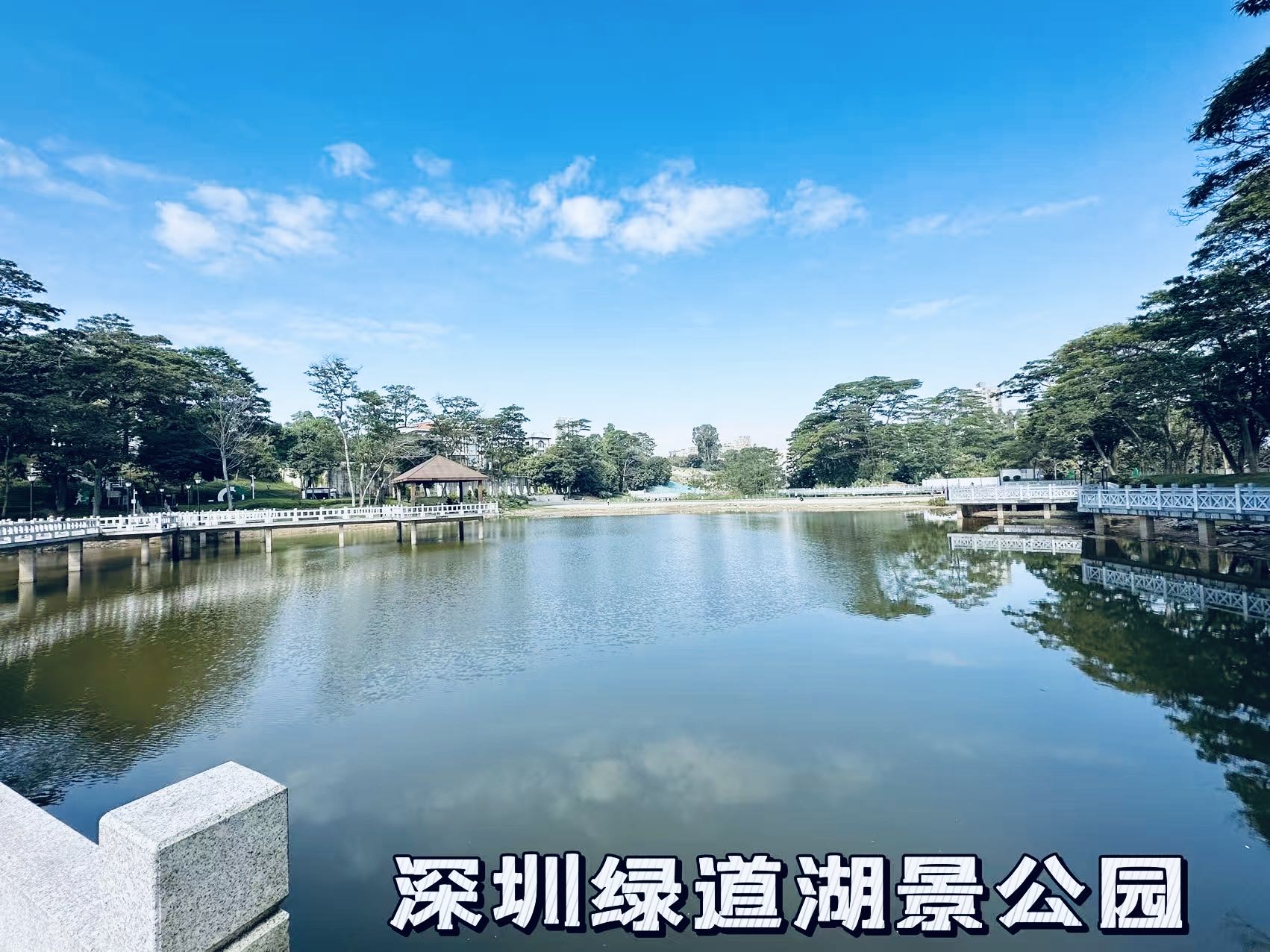 1745218589551107.jpg 00687f17be118e776776f87a99cd24cc.jpg