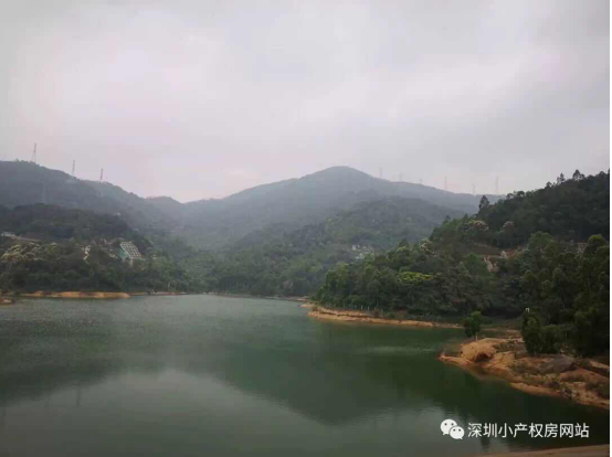 山水綠園一房一廳56平方，56.8萬/套起