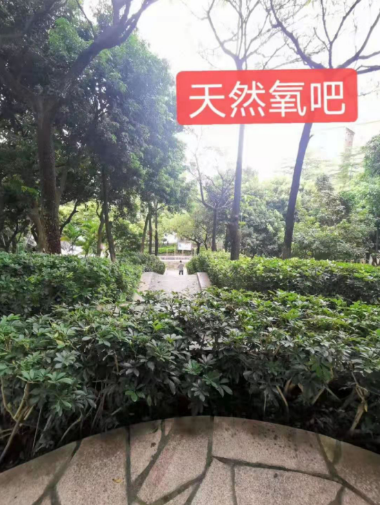 金光華府名校零距離，盡享綠色生態(tài)