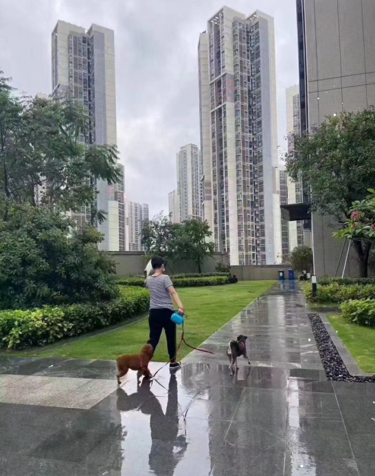 觀瀾新城締造世界級(jí)國際產(chǎn)業(yè)均價(jià)26500元/平