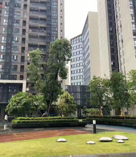 觀瀾新城締造世界級(jí)國際產(chǎn)業(yè)均價(jià)26500元/平