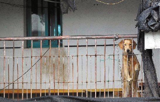 陳某父親曾在陳某上初中時