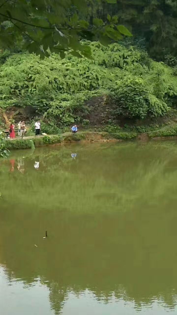 他們?cè)跇I(yè)余時(shí)間到農(nóng)村去釣魚和種菜