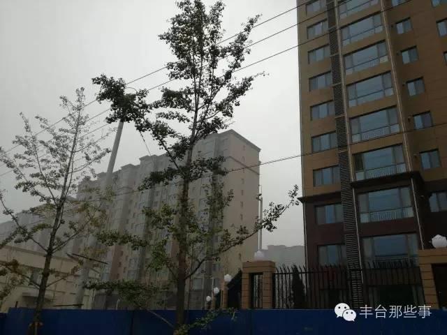 大紅門(mén)街道時(shí)村大隊(duì)拆遷規(guī)劃問(wèn)題