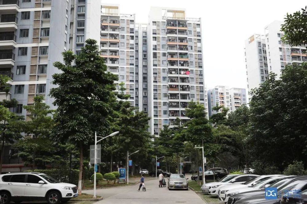 大瀝鎮(zhèn)城建與水利局有關(guān)負(fù)責(zé)人表示