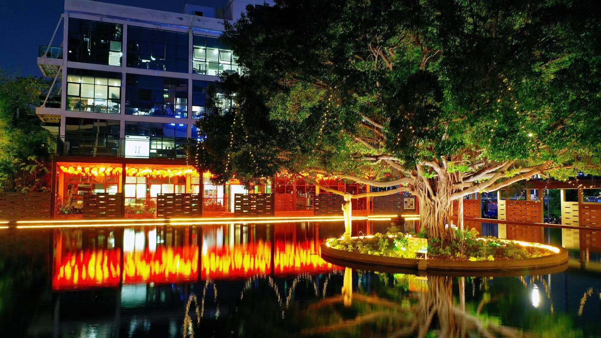 龍華區(qū)中心地段