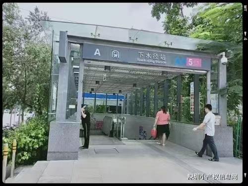 龍崗布吉翠峰學(xué)府